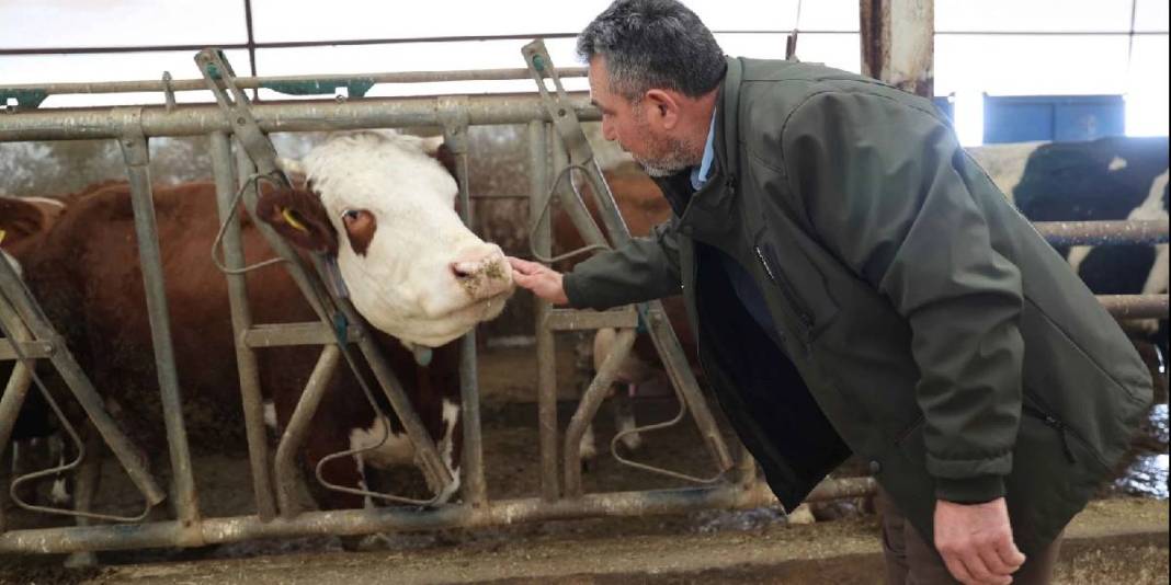 41 milyon liralık maliyetle kurdu: Günde 15 ton üretim yapıyor 6